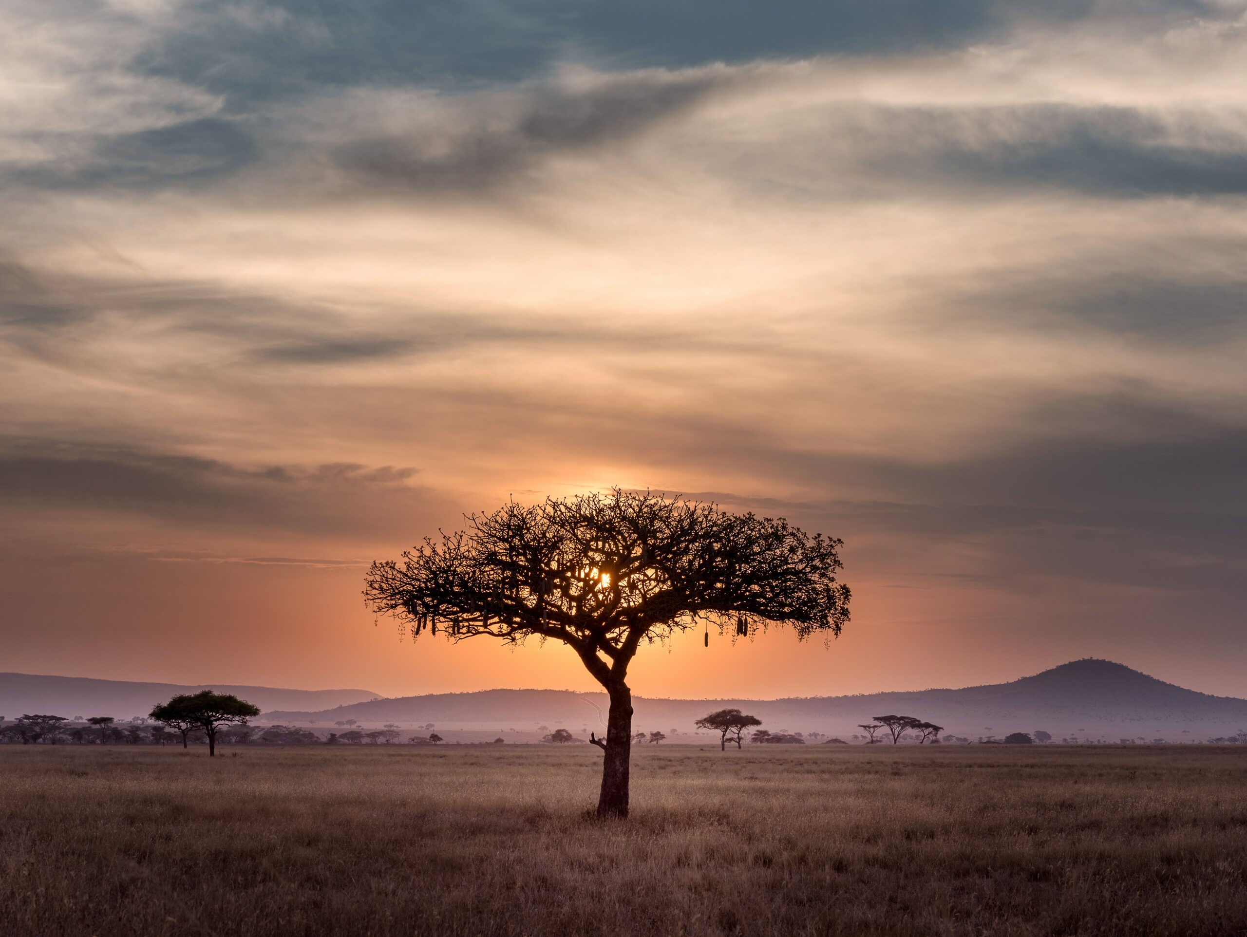 Photo by Chen Hu / Serengeti, Tanzania
