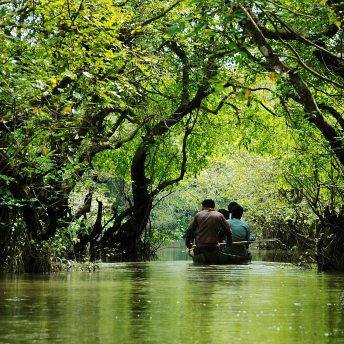 Ratargul Swamp Forest, Bangladesh. Photo by Sumon Mallick.