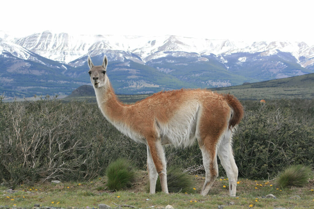 Argentina