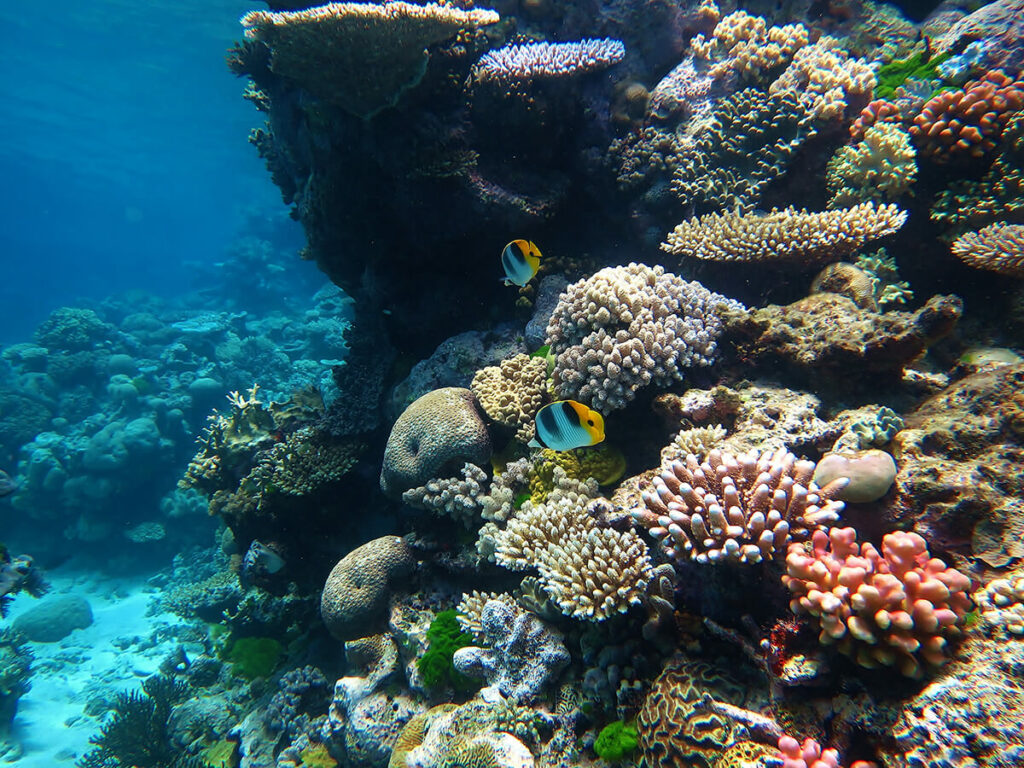 Australia