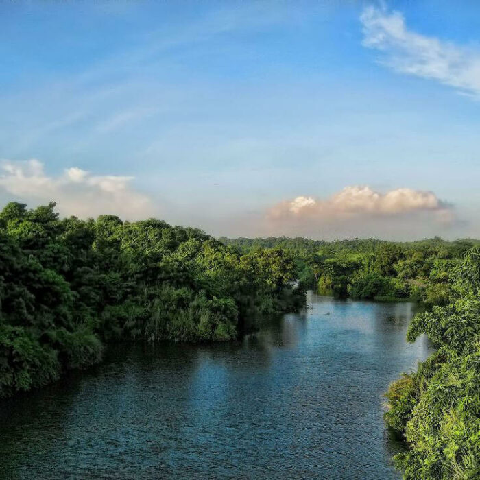 Bangladesh eco region Kaptai National Park