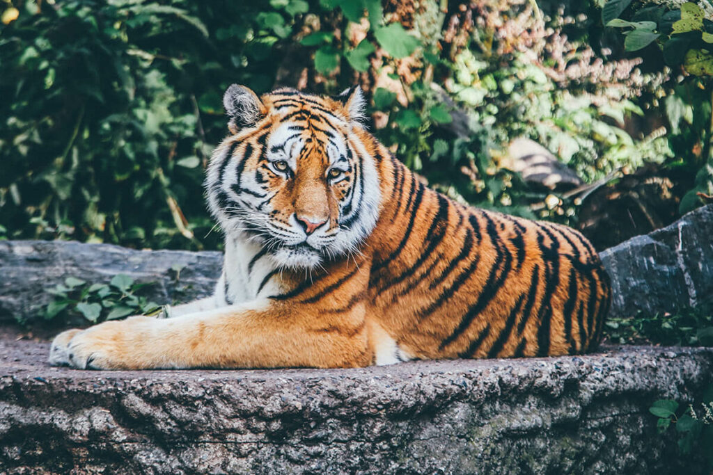 Bhutan