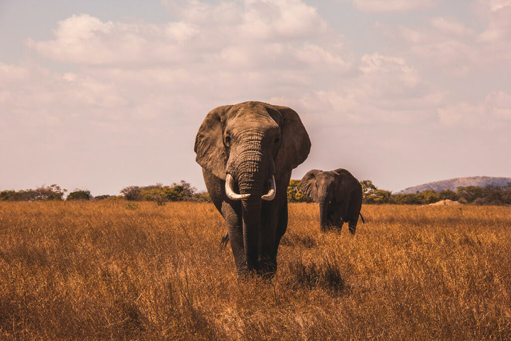 Botswana