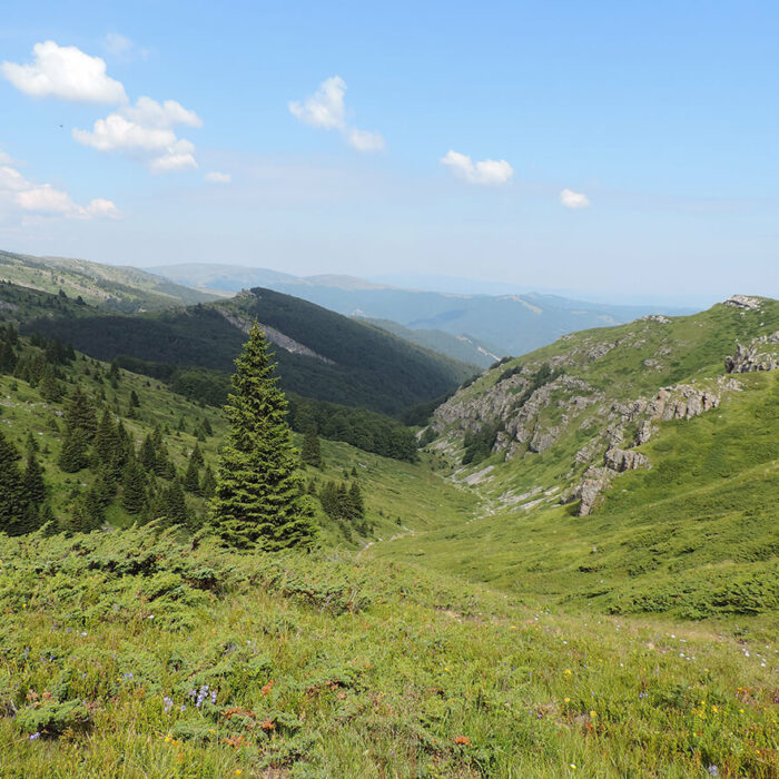 Bulgaria eco region Central Balkan National Park