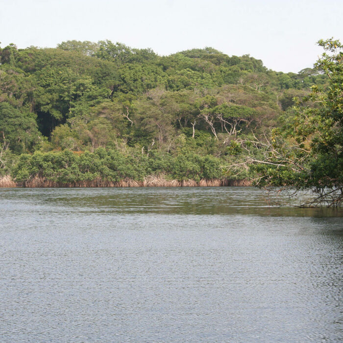 Gabon Loango National Park