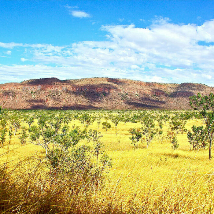 australia-eco-region-Tropical Savanna