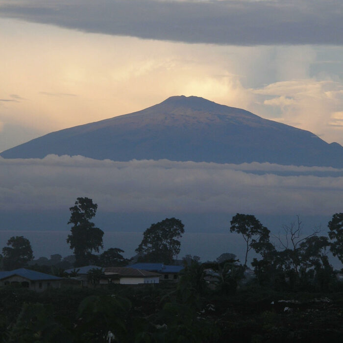 Mount Cameroon, Cameroon. Courtesy of the Creative Commons.
