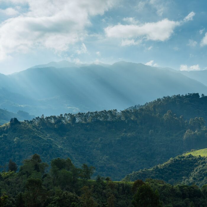 La Serrana, Colombia. Photo by Dan Gold.
