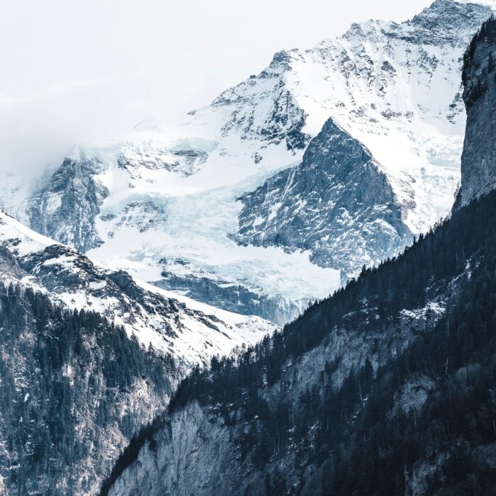 Swiss Alps. Photo by Jonas Jacobsson.