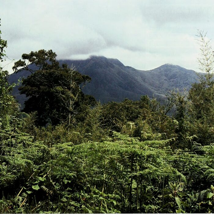 Batéké Plateau National Park