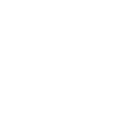 FLF Logo White
