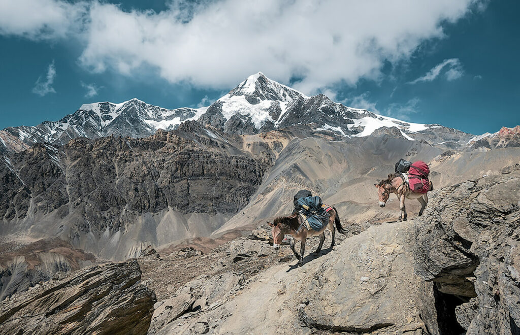 Nepal
