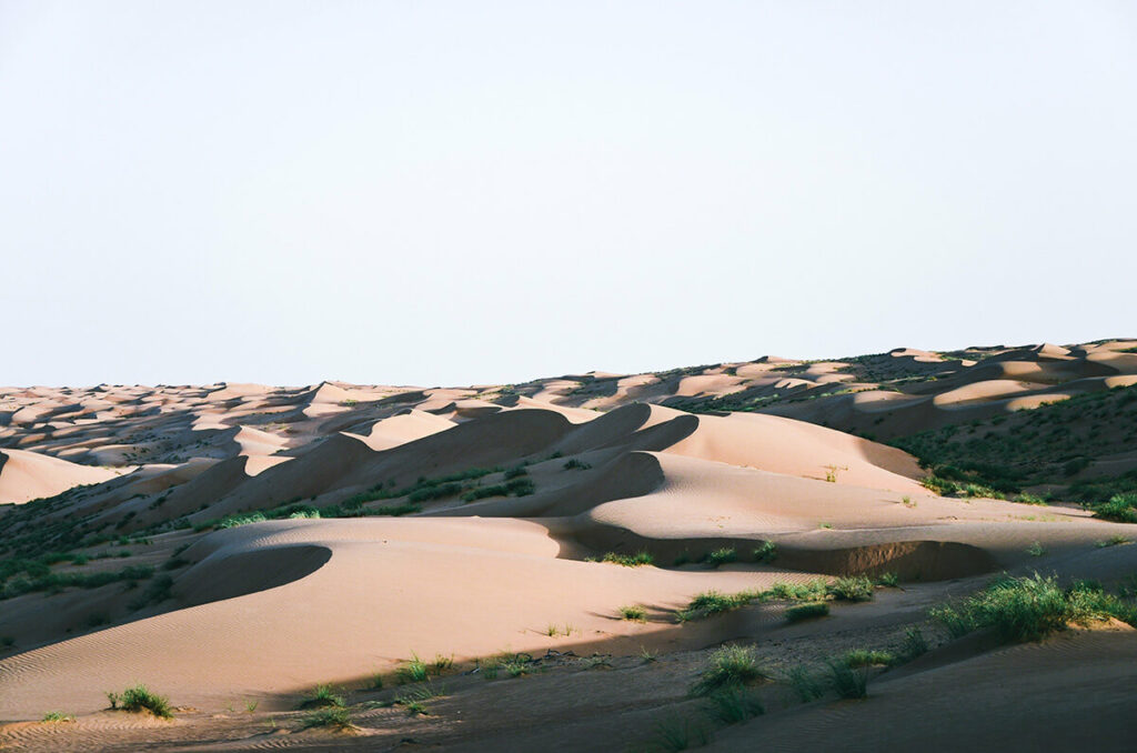 Oman