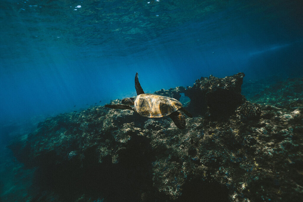 Oman