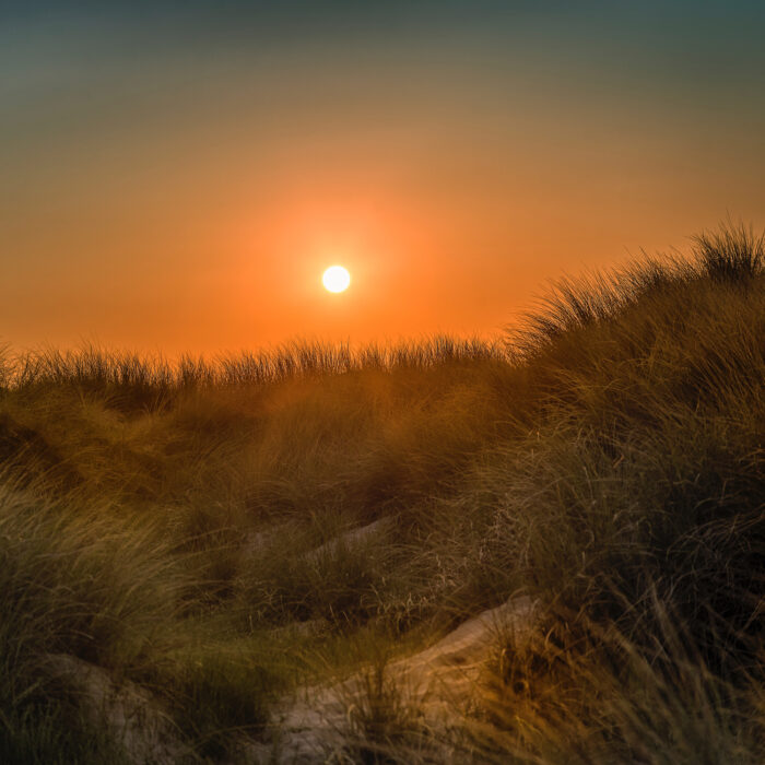Dusk on sand dunes. Photo by Fausto Garcia.