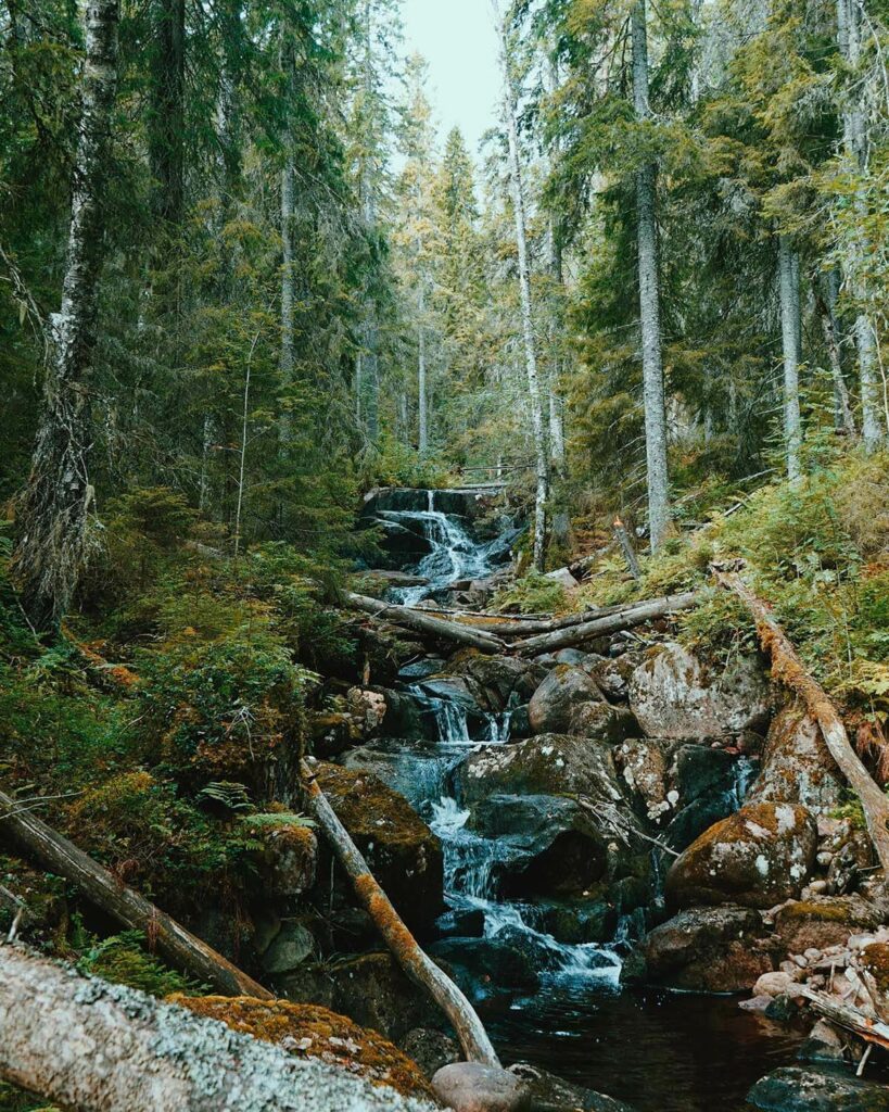 Sweden