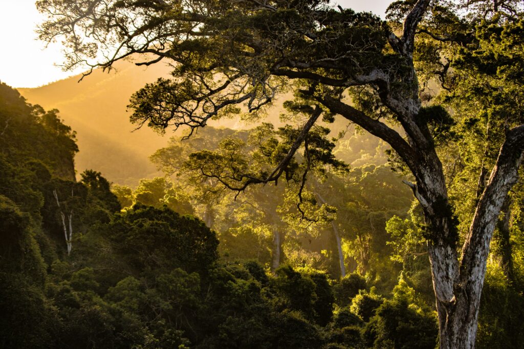 Sun sets in Nature's Valley, South Africa/Photo by Charl Van Rooy