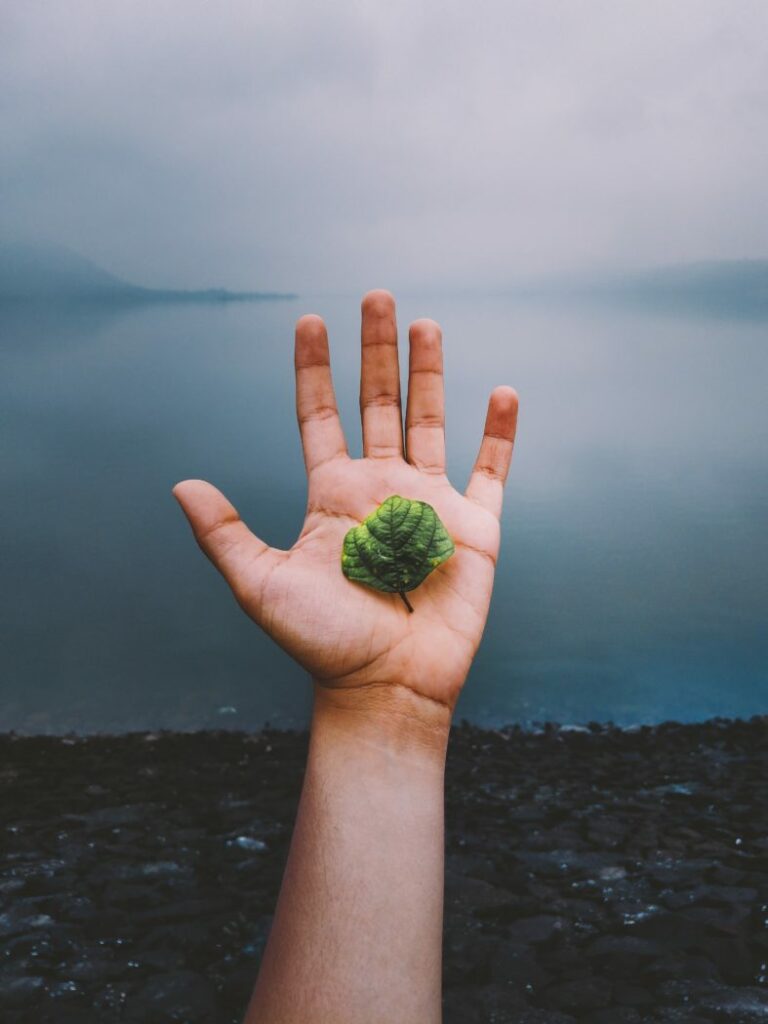 bhai-rankar-436753-unsplash